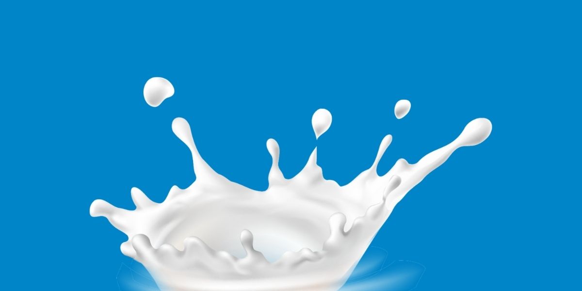 Dairy Delivers Nutrition & Value For Budgeting Shoppers